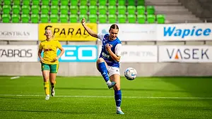 VIFK - Ilves/2