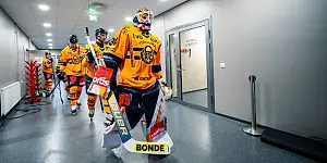 Sport - Lukko