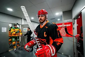Sport - Ilves