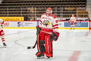 PRESEASON: Skellefteå AIK - Vaasan Sport